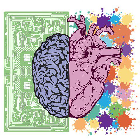 An illustration of the brain and heart